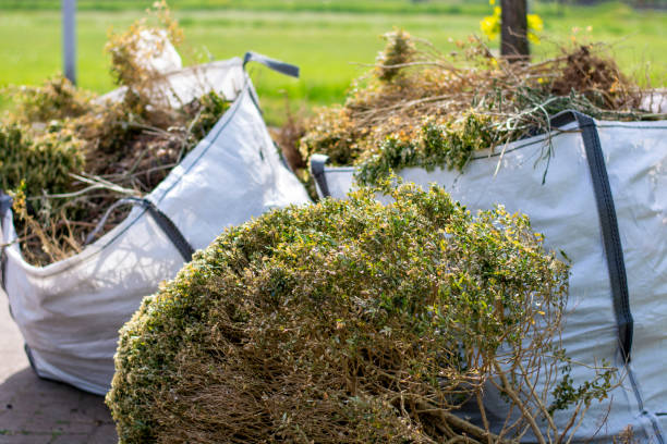 Trusted Clyde, NY Junk Removal Experts